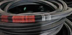 Day-curoa-BB-106.jpg