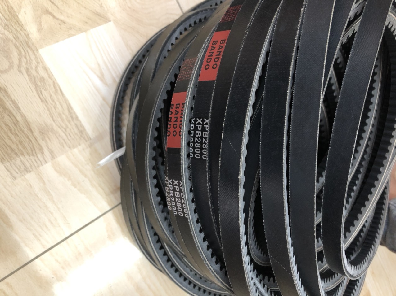 dây curoa xpb2800