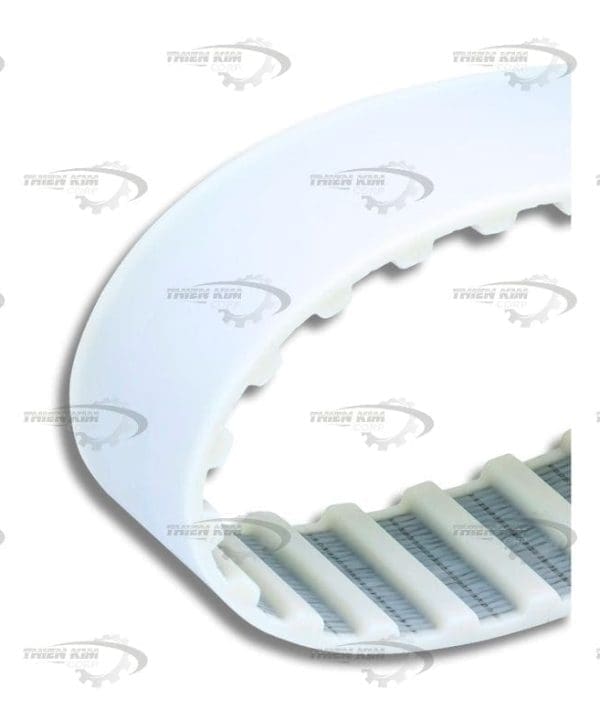 Dây Curoa PU Răng L Trắng