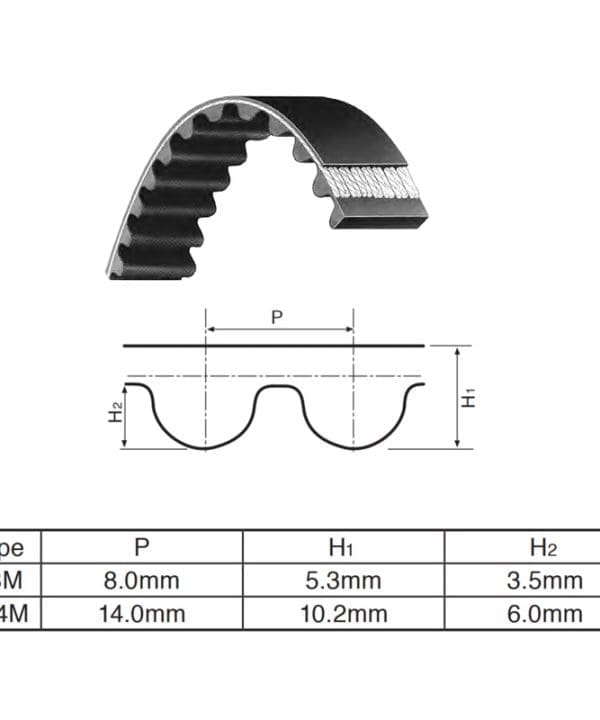 Dây Curoa Răng 2310 H14M